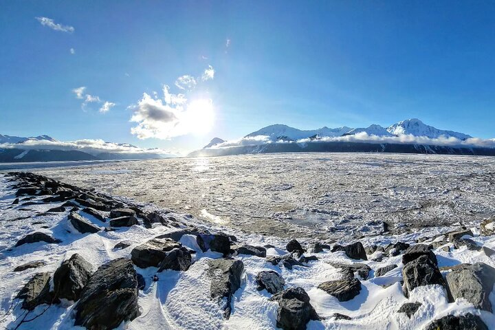 4 day Alaska Seward Camping Adventure from Anchorage - Photo 1 of 15